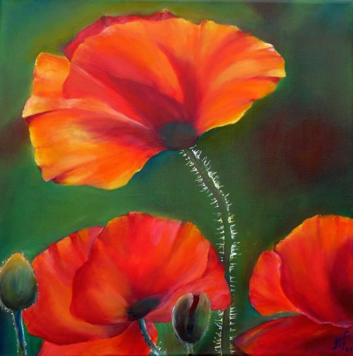Mohn